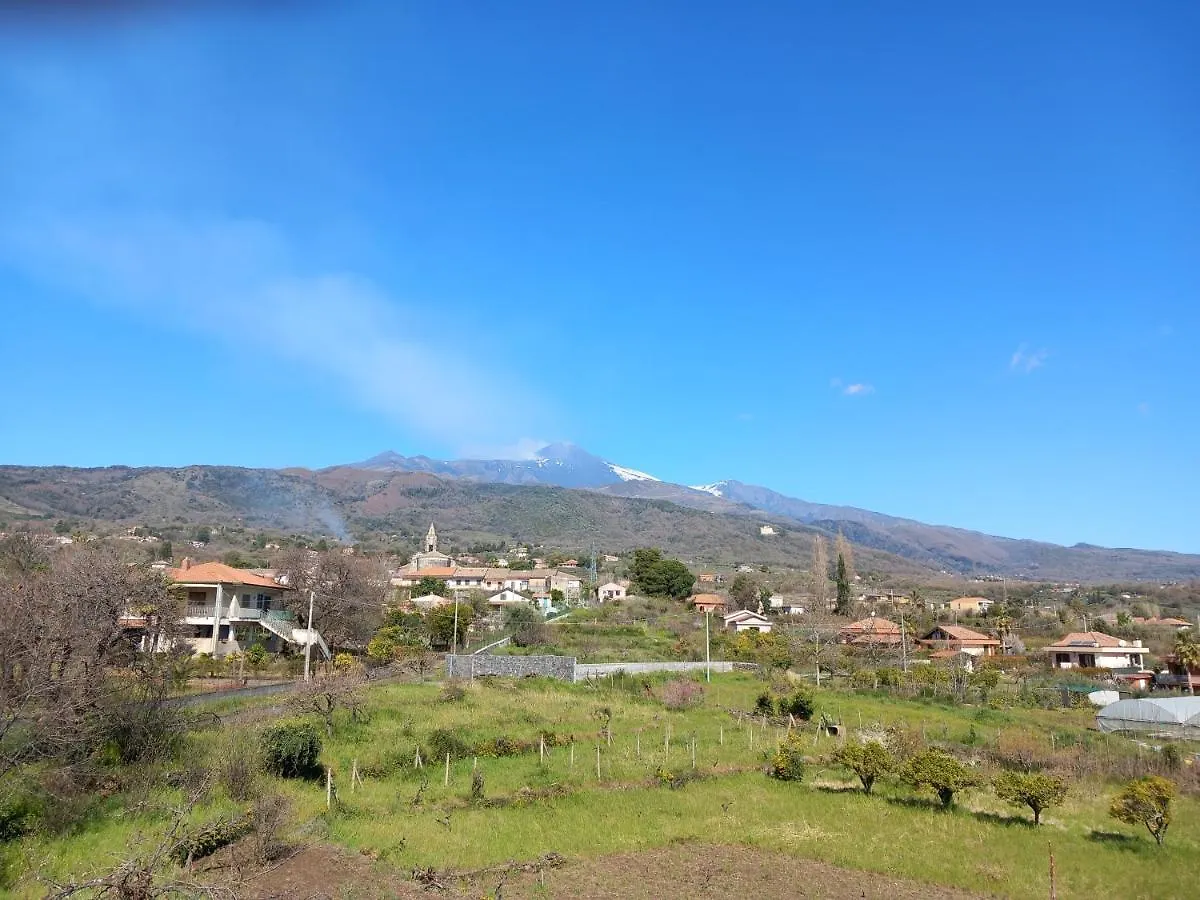 Etna Green House Villa Zafferana Etnea