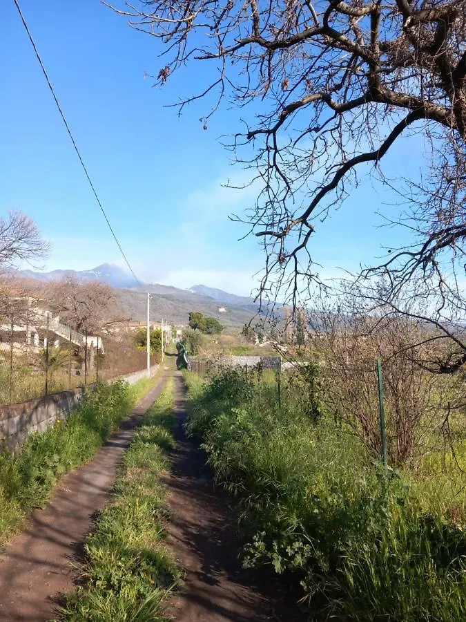 Etna Green House Vila Zafferana Etnea Casa de Férias