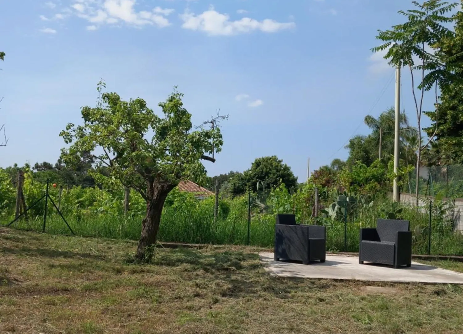 Etna Green House Villa Zafferana Etnea Holiday home